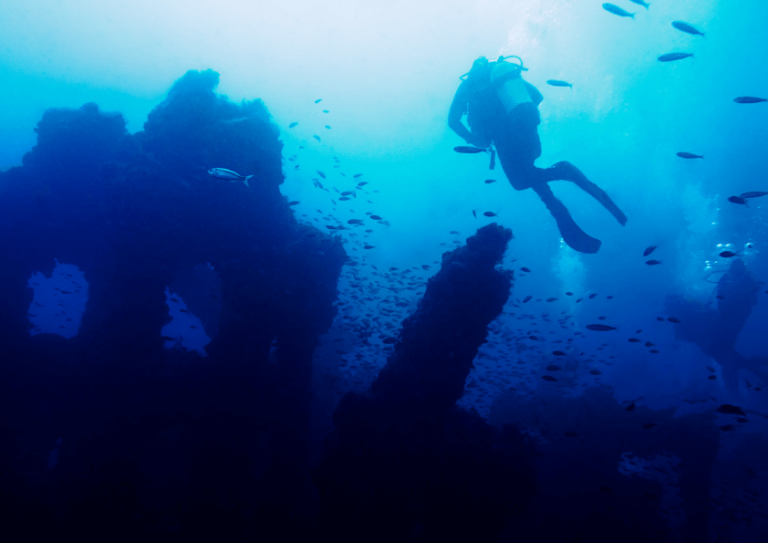 Snorkelen bij verzonken schip
